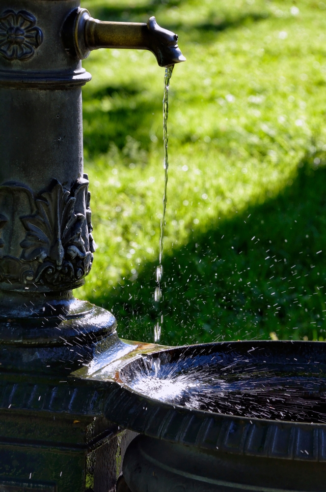 ALDO PALAZZESCHI, La fontana malata